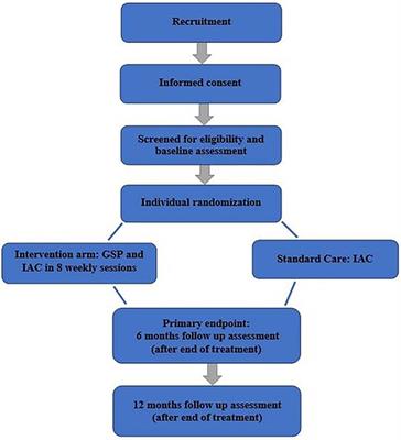 The effect of group support psychotherapy on adherence to anti-retroviral therapy and viral suppression among HIV positive young people: Study protocol for a pilot randomized controlled trial